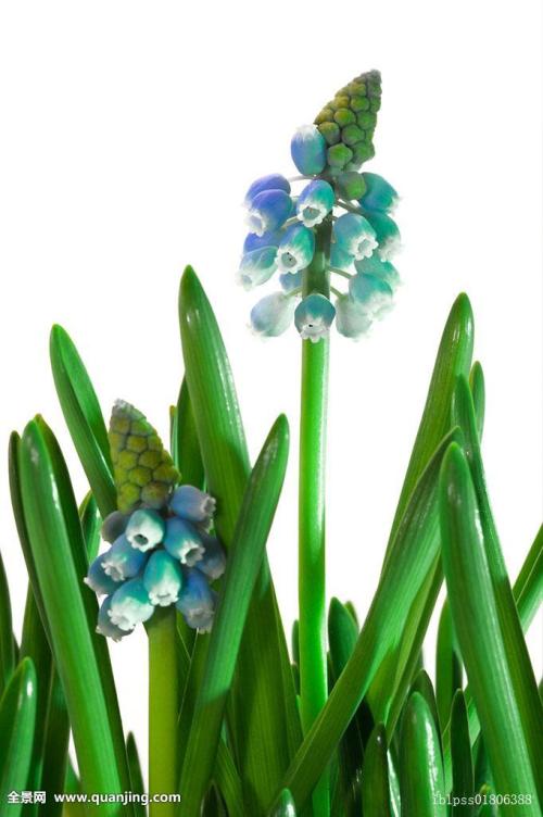 永4.2Ԫ㽭һҽթƭ